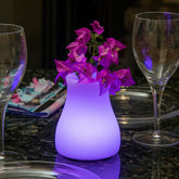 Smart & Green LED Glow OLIO Vase